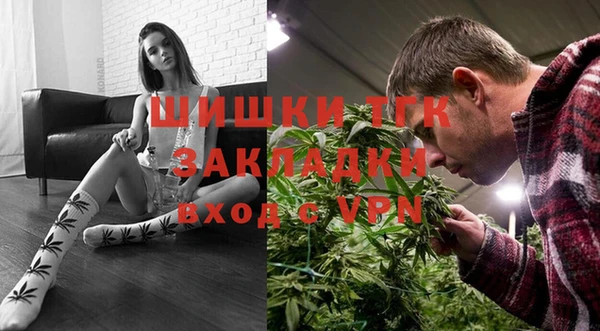 шишки Абинск