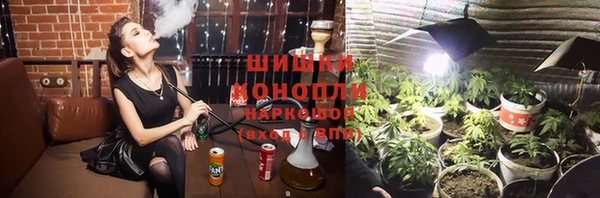 тгк Абаза
