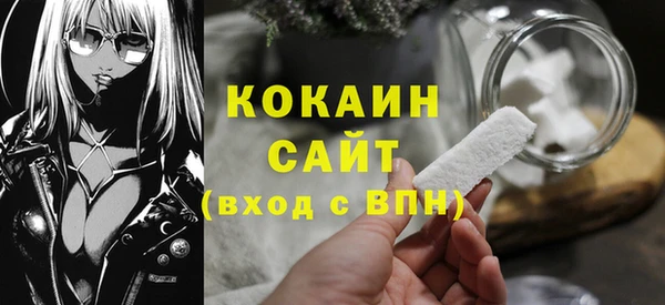 спиды Няндома