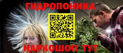 СК Сланцы