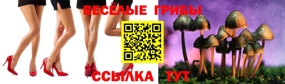 Псилоцибиновые грибы GOLDEN TEACHER  Вход с VPN  Протвино 